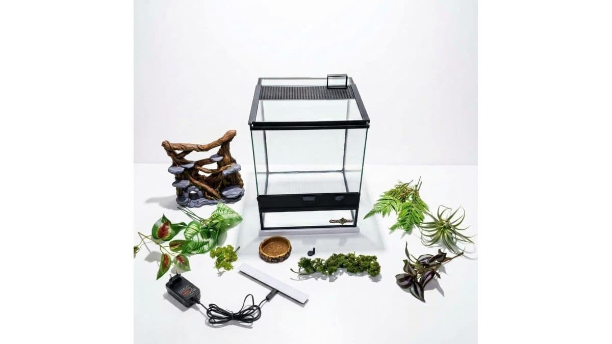 Terrário arborícola Aracno Home tamanho G