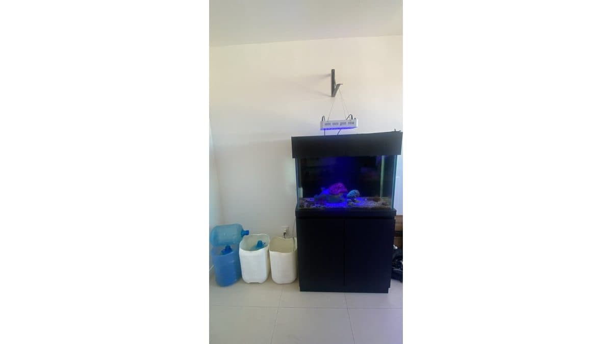 Aquário 200 litros completo