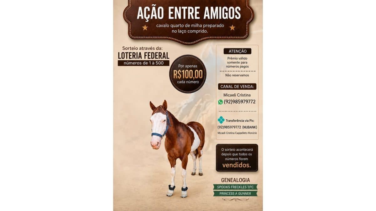 AÇÃO ENTRE AMIGOS