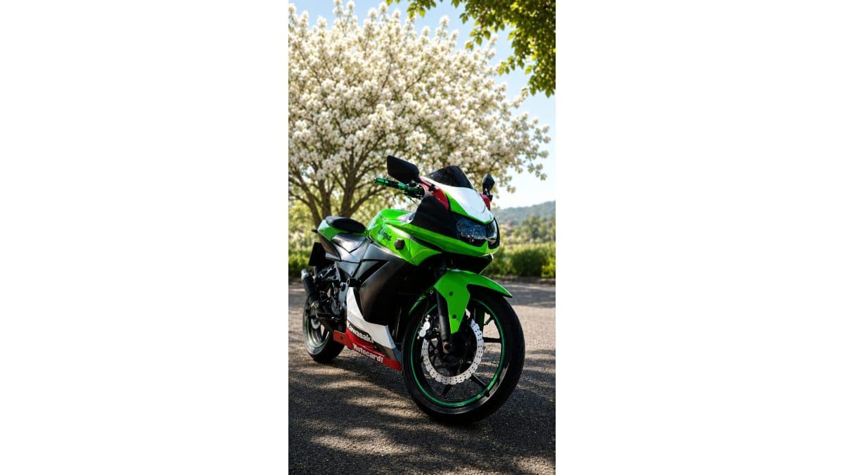 Moto do Dony - Uma Moto por uma Vida (cópia)