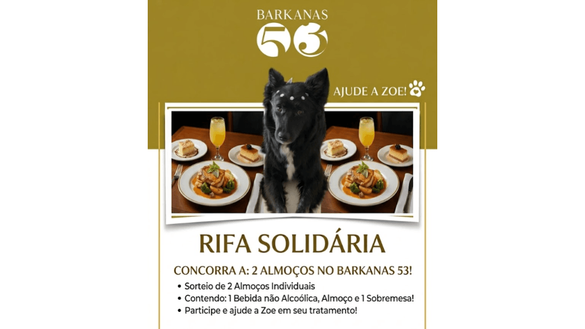 Internação Zoe - Barkanas 53