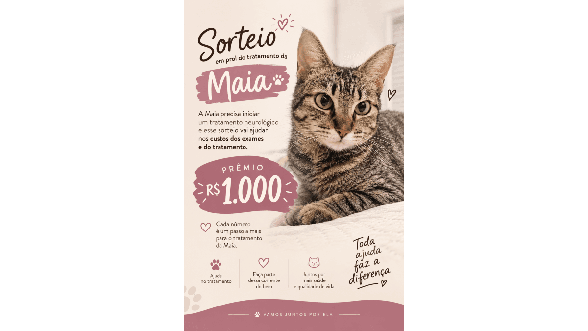 Ajude a Maia na investigação neurológica