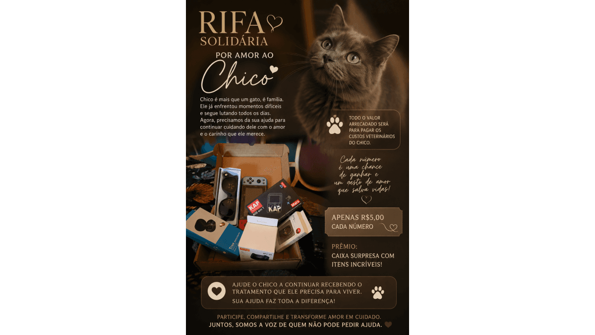 Ajude o gato Chico