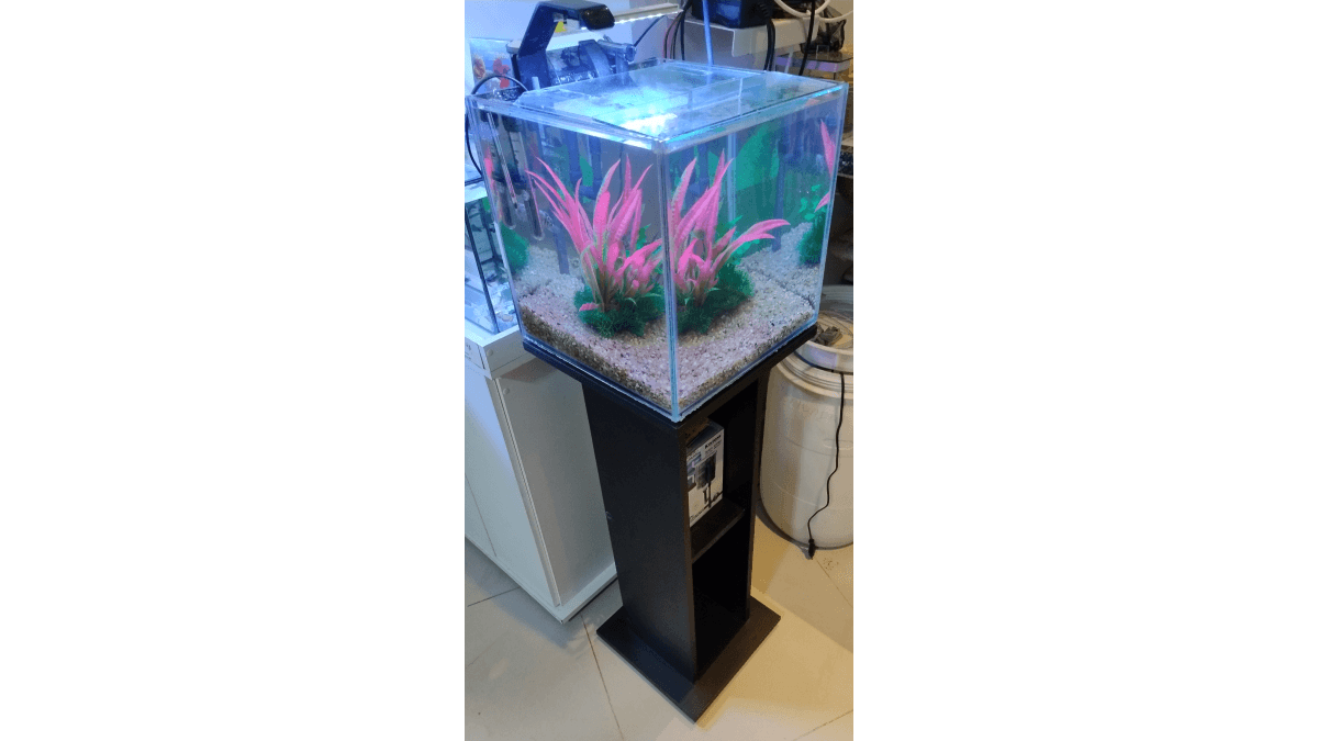 Projeto cubo 27l aquário completo