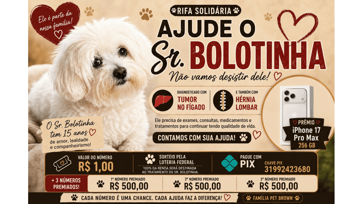 Ajude o Sr Bolotinha