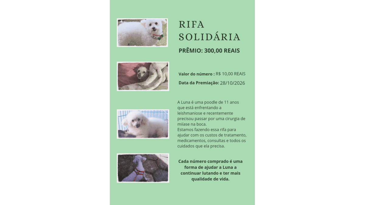 RIFA EM PROL DA LUNA