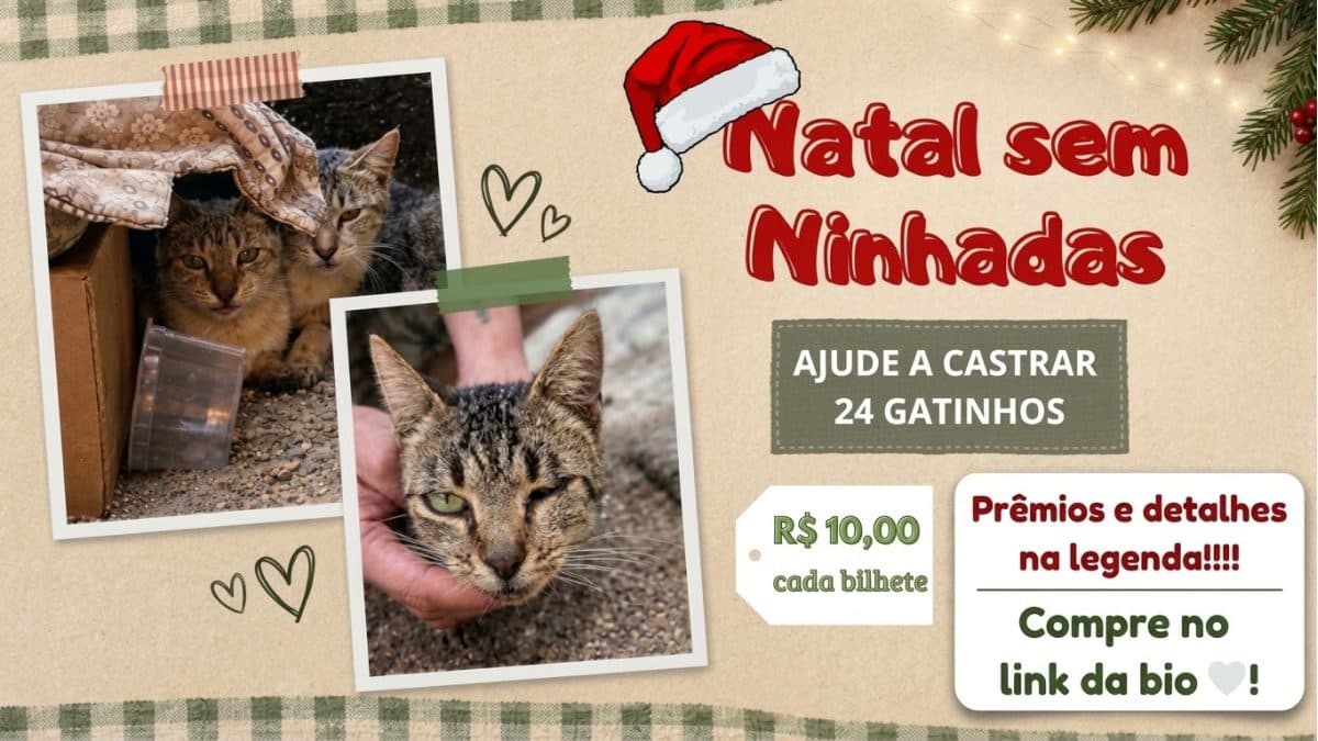NATAL SEM NINHADAS 🎄