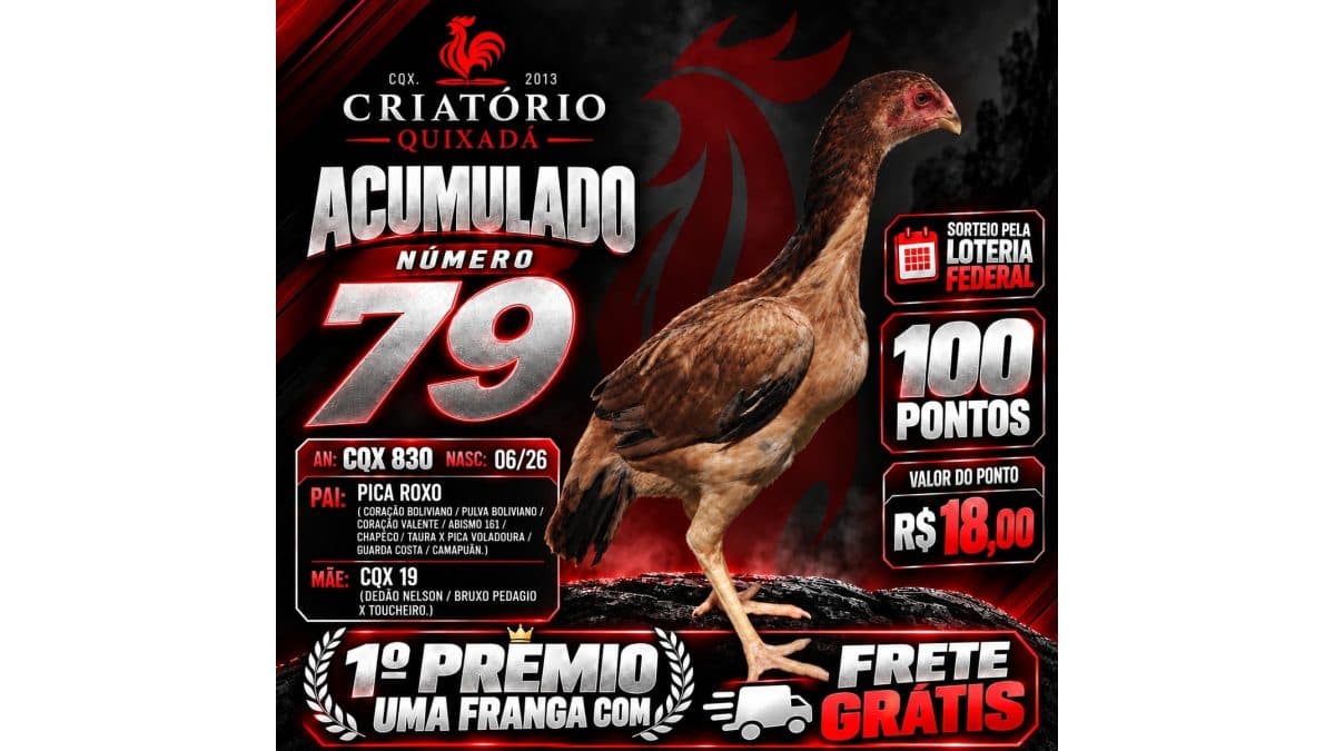 Acumulado 79