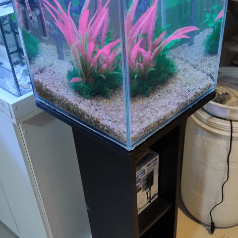 Aquário cubo