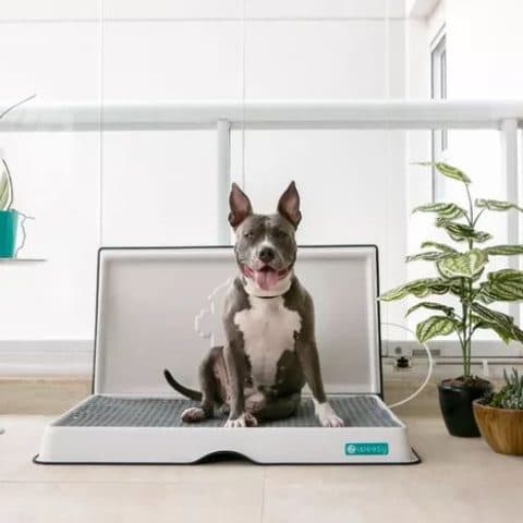 Banheiro Inteligente Weasy