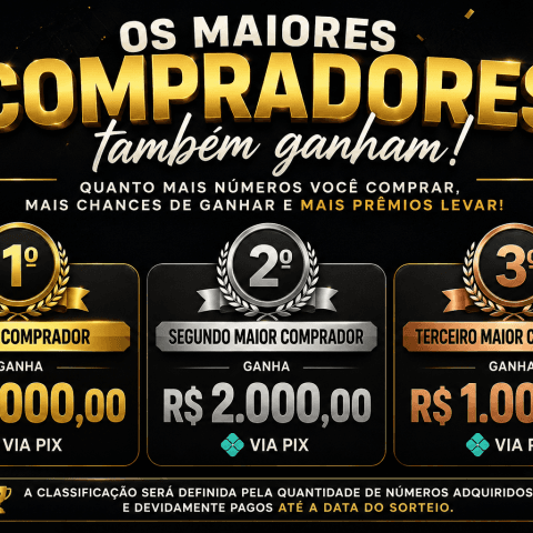 2º Maior Comprador: R$ 2.000,00 via Pix