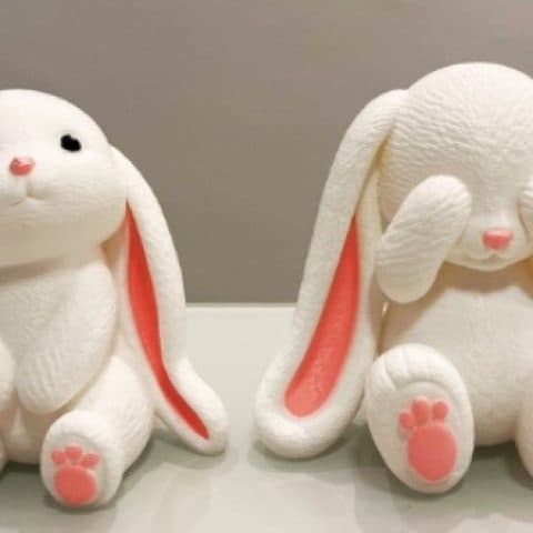 Dupla de coelhinhos